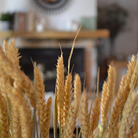 Finca Paredes Valdetorres de Jarama Zewnętrze zdjęcie