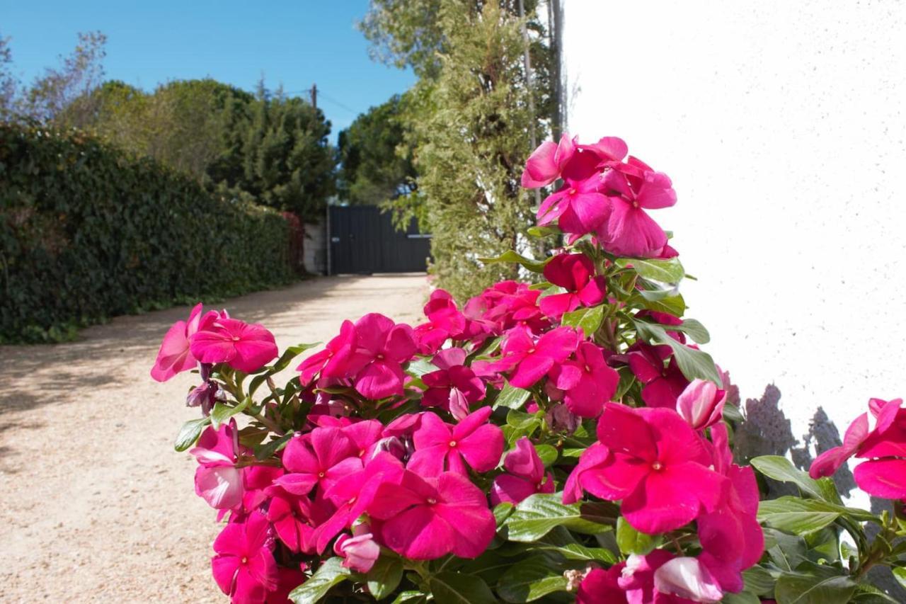 Finca Paredes Valdetorres de Jarama Zewnętrze zdjęcie