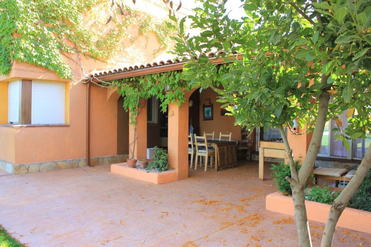 Finca Paredes Valdetorres de Jarama Zewnętrze zdjęcie