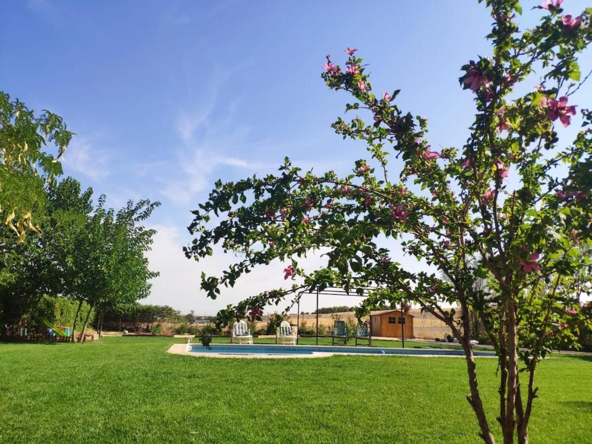 Finca Paredes Valdetorres de Jarama Zewnętrze zdjęcie